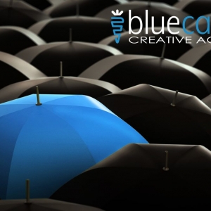 Photo of Blue Carrot Creative