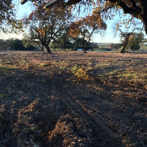 Photo of CenTex Land Clearing