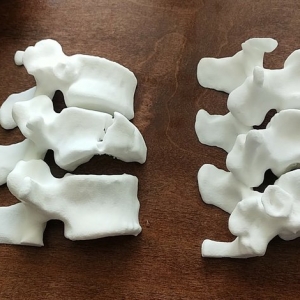 Photo of 3D Printed Evidence