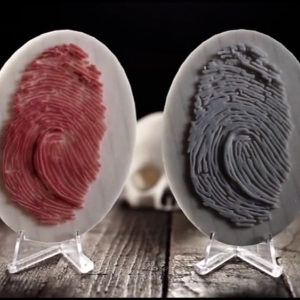 Photo of 3D Printed Evidence