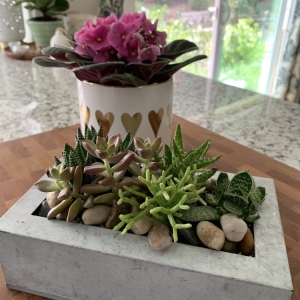 Photo of Botanica Floral Design