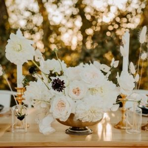 Photo of Gravity Events