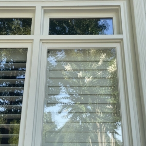 Photo of Competitive Glass
