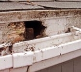 Photo of Nassau Gutters