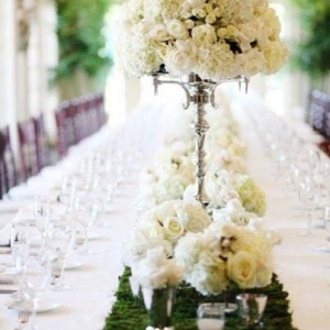 Photo of Events by Stephanie Antoinette