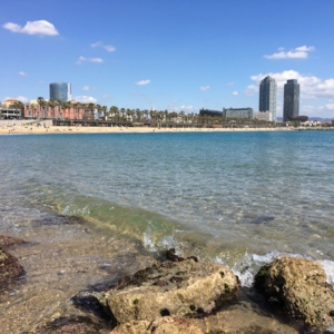 Photo of Àliga Real Estate