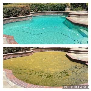 Photo of Pool Whip Pros