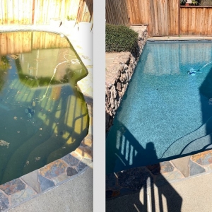 Photo of Pool Whip Pros