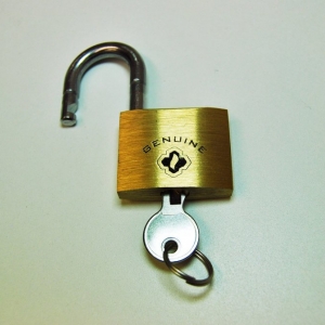 Photo of Friendly Fire Life Safety