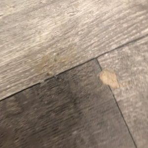 Photo of Elite Flooring Repair