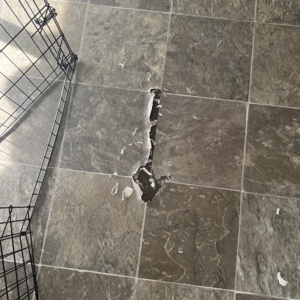 Photo of Elite Flooring Repair