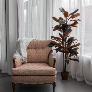 Photo of Wild Willow Studio