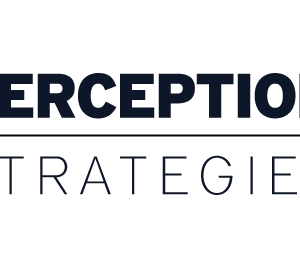 Photo of Perception Strategies