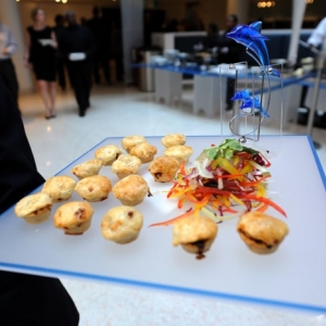 Photo of Your Event Solution