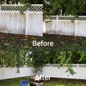 Photo of Patriotic Pressure Washing & Lawn Service