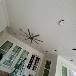 Photo of DV PROFESSIONAL PAINTERS