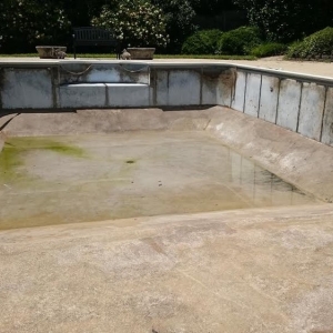 Photo of Paragon Pools