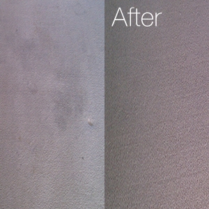 Photo of Kellyâs Carpet Cleaning and Flood Restoration