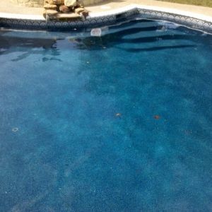 Photo of Aqua Blue Pool Service & Gutter Maintenance