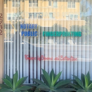 Photo of Agnes Santos Multi-Business Services