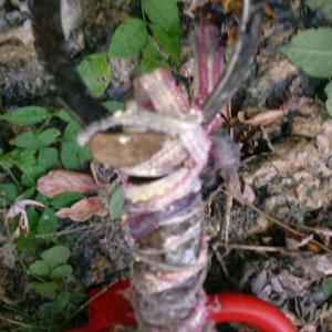 Photo of Taylor's Electric and Plumbing