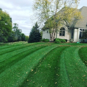 Photo of Strictly Green