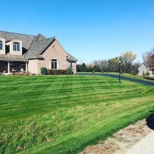 Photo of Strictly Green