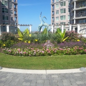 Photo of Passiflora Landscape & Design