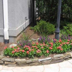 Photo of Passiflora Landscape & Design