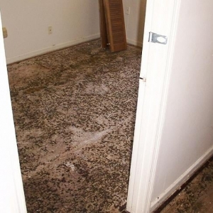 Photo of DisasterCare
