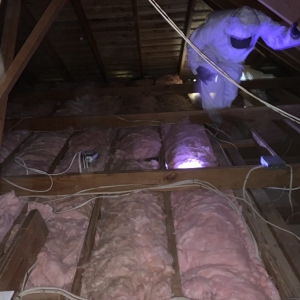 Photo of Eco Energy Bay Area Attic cleaning & Rodent Proofing