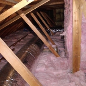 Photo of Eco Energy Bay Area Attic cleaning & Rodent Proofing