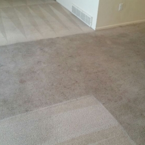 Photo of Revolution Restoration & Cleaning