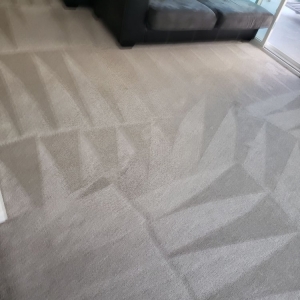 Photo of Reliable Carpet Care