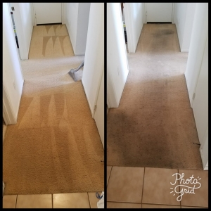 Photo of Reliable Carpet Care