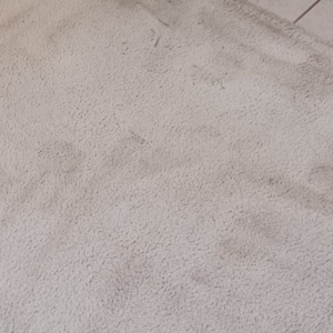 Photo of Xpress Cleaning Services