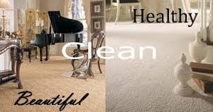 Photo of Spot Lifters Carpet Cleaning