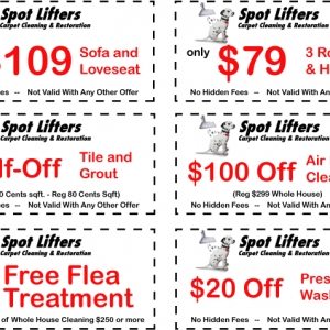 Photo of Spot Lifters Carpet Cleaning