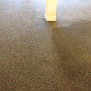 Photo of Leather Pro & Integrity Carpet Cleaning
