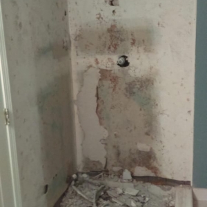 Photo of Everyone's Plumbing & Handyman Services
