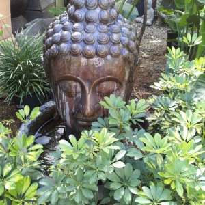 Photo of Mickey Hargitay Plants