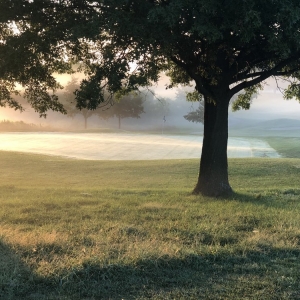 Photo of Paradise Pointe