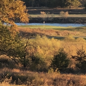 Photo of Paradise Pointe
