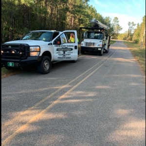 Photo of Colburn's Tree Service