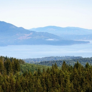 Photo of Coldwell Banker Bain of Silverdale