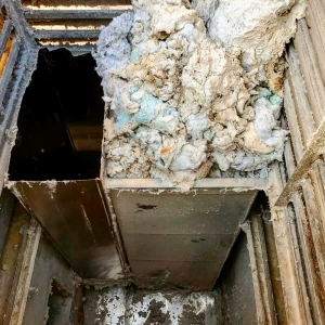 Photo of Texas Green Air