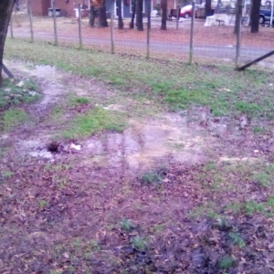 Photo of Carter Quality Plumbing