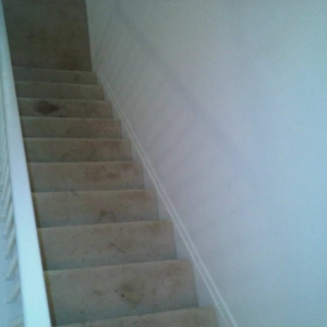 Photo of Logan Circle Carpet Cleaning