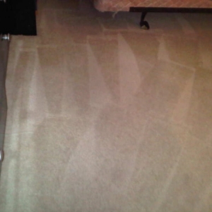 Photo of Logan Circle Carpet Cleaning
