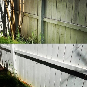 Photo of Panda Powerwash